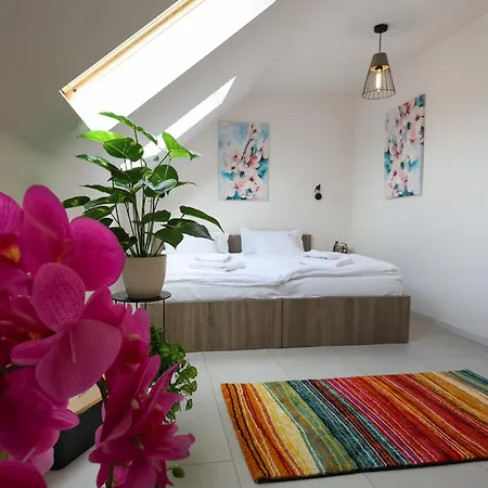 Guest house Madison Ranch Szabolcsveresmart